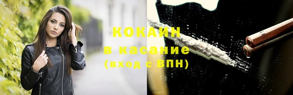индика Рославль