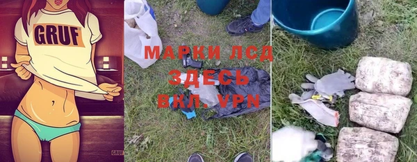 индика Рославль