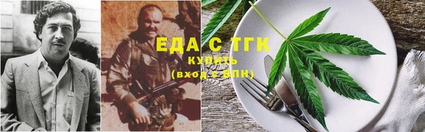 индика Рославль