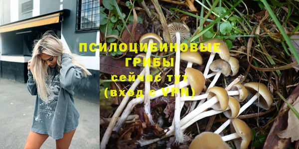индика Рославль