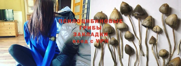кокаин премиум Пролетарск