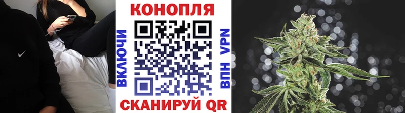 OMG зеркало  Южа  Каннабис SATIVA & INDICA 